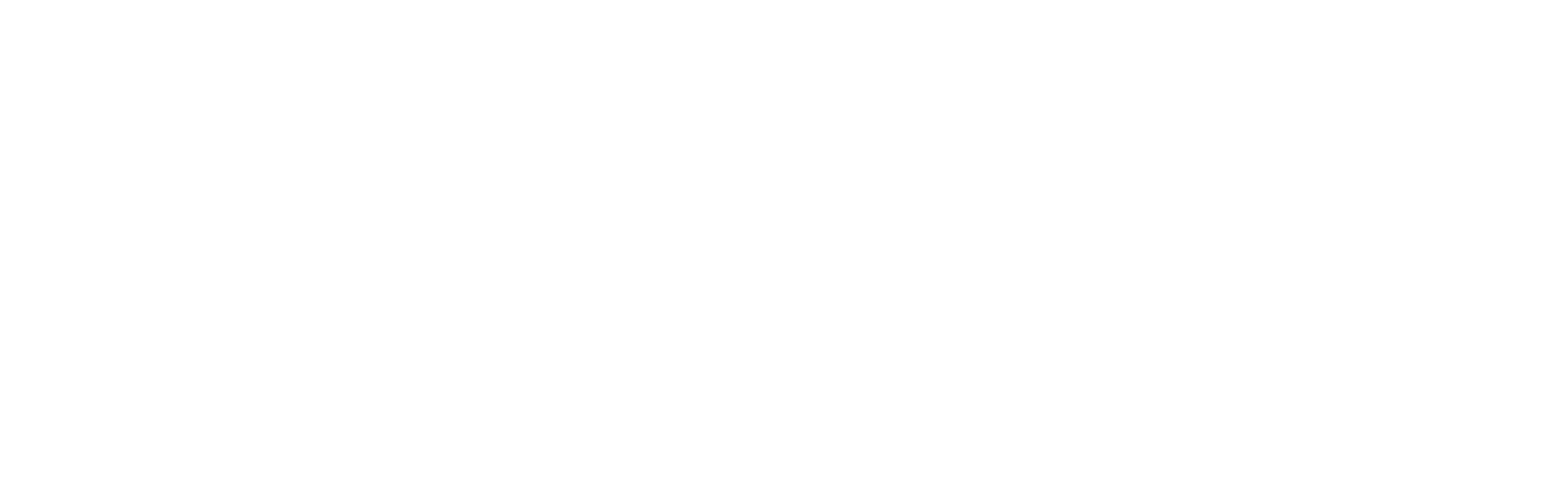 ROAM